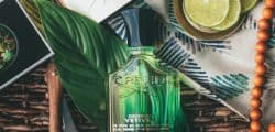 7 Best Vetiver Colognes: Top Fragrances in 2024